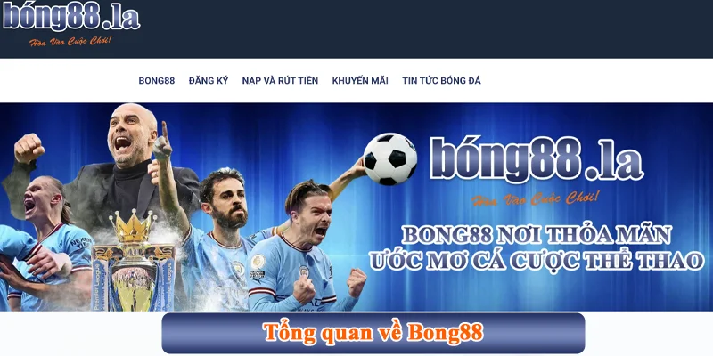 Bong88 otpc ⭐️ Link vào Bong88 không bị chặn mới nhất 【2025】 36 Tổng quan về Bong88